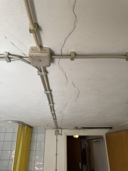 IMG_0399.JPEG