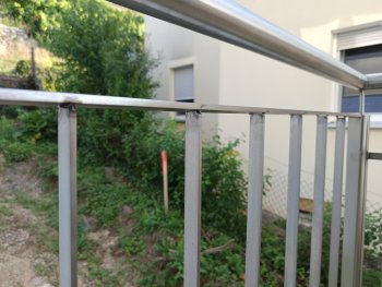 IMG_20250816_091844.jpg