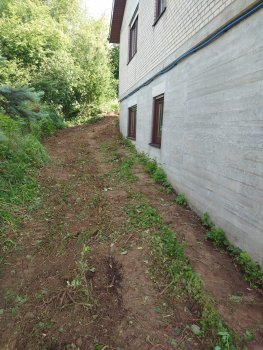aussenbereich-hausfundament-gartenpfad-wildwuchs.jpeg