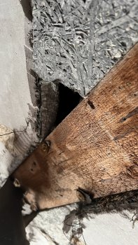 rohbau-und-fundament-wand-balken-schaden.JPEG