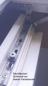fenster-oberkante-schimmel-stockflecken.jpg
