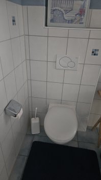 helles-badezimmer-mit-toilette-spuelknopf-toilettenbuerste.jpg