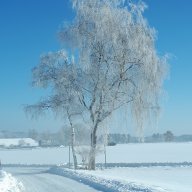 Enkelkinder
