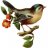 Vogelmama